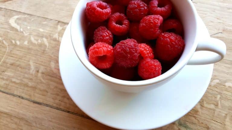 Cloud Computing in Food Manufacturing: Efficient Production Systems.