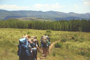 Rewards Hacking: Maximizing Points for Free Travel