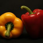 Unified Action for Sustainable Food Systems: A Global Effort