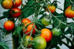 In-Person Food Events: Revival of Culinary Experiences in 2025.