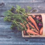 Tech-Enabled Traceability: Ensuring Food Safety Through IoT.