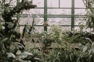 Rethinking Plants: Natural, Less Processed Options