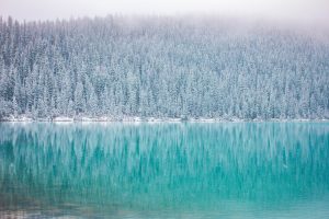 Preparing Your Property for the Winter Market