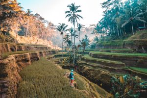 Travel Insurance 101: What You Need to Know