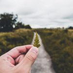 Scuba Diving Hotspots: Coral Reefs and Marine Life to Explore