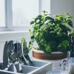 Self-Cleaning Appliances: Revolutionizing Kitchen Maintenance