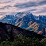 Oven and Range Options: Gas, Electric, or Induction?