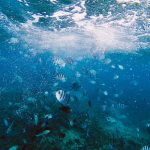 Top 5 Underwater Hotels for a Unique Stay