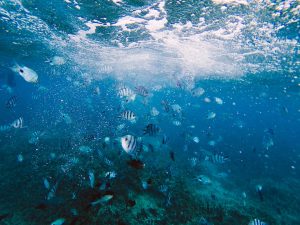 Top 5 Underwater Hotels for a Unique Stay