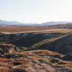 Indoor Grill: Bringing the joy of the outdoors, inside