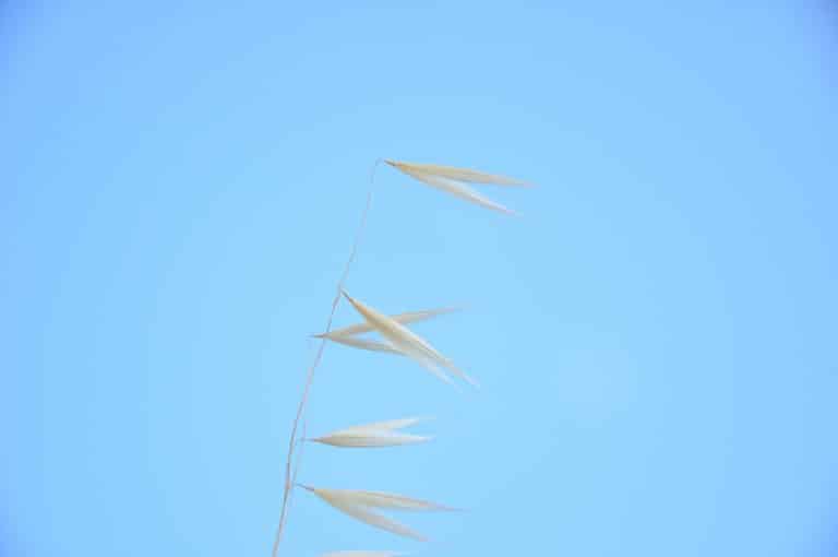 Prenuptial Agreements: Why They’re More Common Than Ever