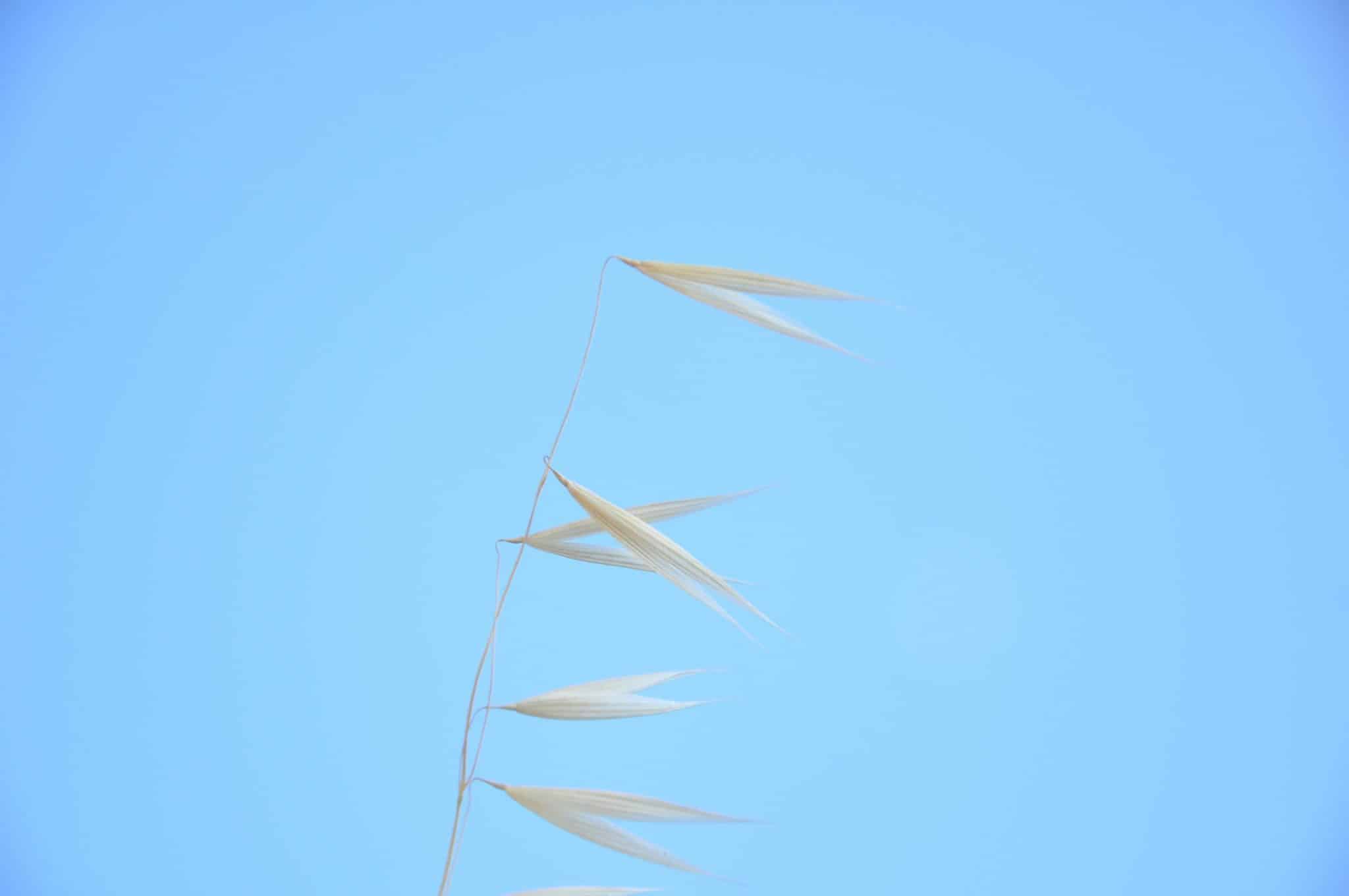 Prenuptial Agreements: Why They’re More Common Than Ever