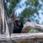 Top Smart Refrigerator Models for 2025: Features and Prices