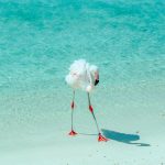 Affordable Luxury: High-Value Destinations for 2025