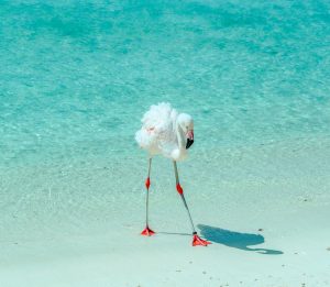 Affordable Luxury: High-Value Destinations for 2025