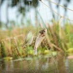 Flood Zone Regulations: Risks for Homebuyers and Developers