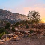 Backpacking on $20 a Day: Budget Tips for Southeast Asia