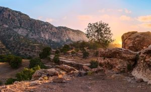 Backpacking on $20 a Day: Budget Tips for Southeast Asia
