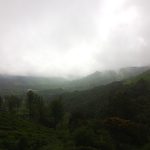 Real Estate Investment Opportunities in Emerging Markets