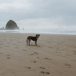 Overlanding Essentials: Preparing Your Vehicle for Extended Wilderness Travel