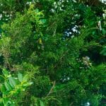 Squatters’ Rights: Legal Loopholes and Property Owner Protections