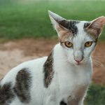 Reusable Packaging: The Rise of Eco-Friendly Containers.